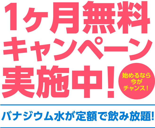 メイン キャッチコピー